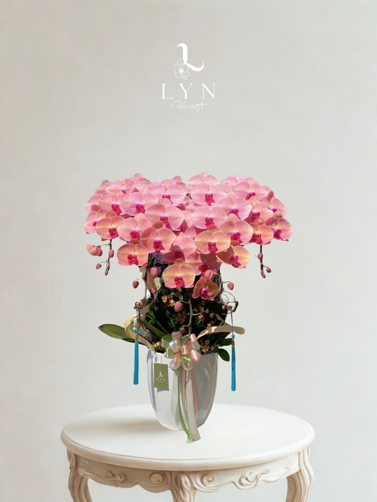 Chậu Hoa Lan Hồng Pastel - BST 